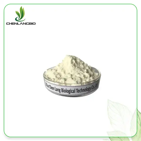 Rotundine Powder